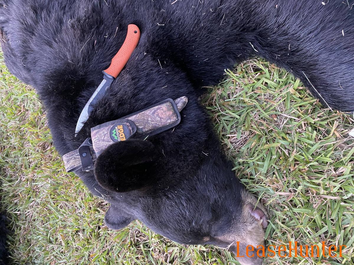 Oklahoma LeaseHunter